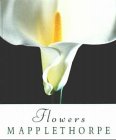 Beispielbild fr Flowers zum Verkauf von medimops