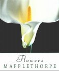 9783888146879: MAPPLETHORPE, FLOWERS [TBS]