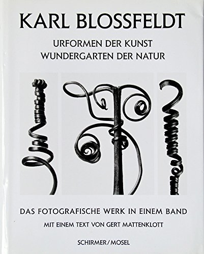 9783888147180: Karl Blossfeldt Urformen der Kunst - Wundergarten der Natur /allemand