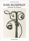 Karl Blossfeldt : Alphabet der Pflanzen. [Magier Der Kamera]