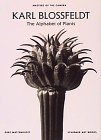 Stock image for KARL BLOSSFELDT THE ALPHABET OF PLANTS (MASTERS OF THE CAMERA) /ANGLAIS for sale by Half Price Books Inc.