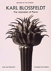 9783888148675: KARL BLOSSFELDT THE ALPHABET OF PLANTS (MASTERS OF THE CAMERA) /ANGLAIS