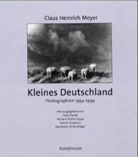 Stock image for Kleines Deutschland Gebundene Ausgabe  " 1. Januar 2001 von Axel Hacke (Herausgeber), Herbert Riehl-Heyse (Herausgeber), Rainer Stephan (Herausgeber) for sale by Nietzsche-Buchhandlung OHG