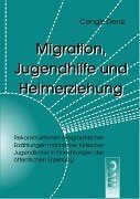 9783889395504: Migration, Jugendhilfe und Heimerziehung. Rekonstruktion biographischer Erzhlungen mnnlicher trkischer Jugendlicher in Einrichtungen der ffentlichen Erziehung