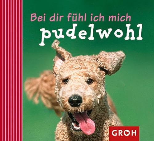 Beispielbild fr Bei dir fhl ich mich pudelwohl zum Verkauf von medimops