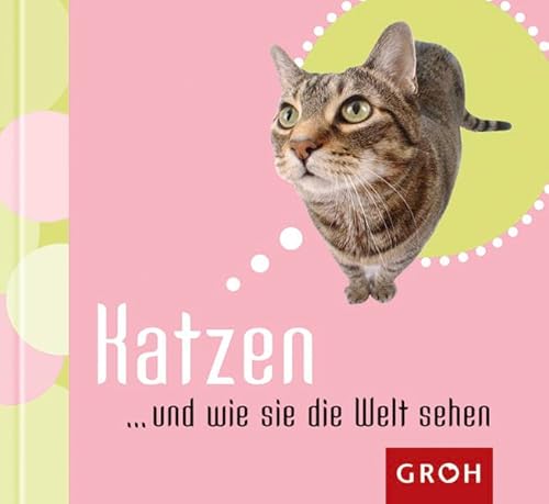 9783890084480: Katzen... und wie sie die Welt sehen