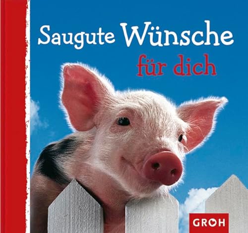 Stock image for Saugute Wnsche fr dich zum 80. Hardcover for sale by Deichkieker Bcherkiste