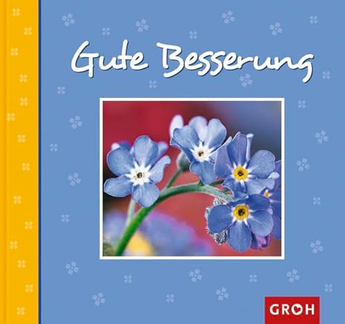 Beispielbild fr Gute Besserung zum Verkauf von Gabis Bcherlager