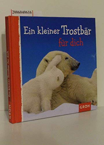 9783890088761: Ein kleiner Trostbr fr dich