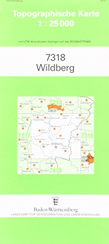 Beispielbild fr Topographische Karten Baden-Wrttemberg : Wildberg zum Verkauf von medimops