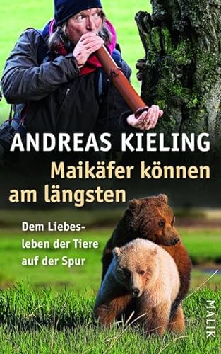 Stock image for Maikfer knnen am lngsten: Dem Liebesleben der Tiere auf der Spur for sale by medimops