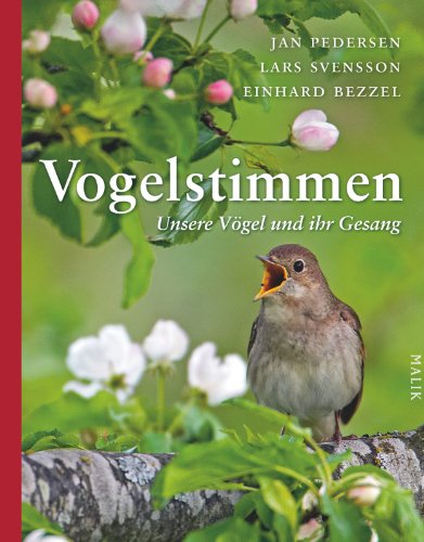 Beispielbild fr Vogelstimmen: Unsere Vgel und ihr Gesang zum Verkauf von medimops