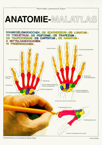 Beispielbild fr Anatomie - Malatlas zum Verkauf von medimops