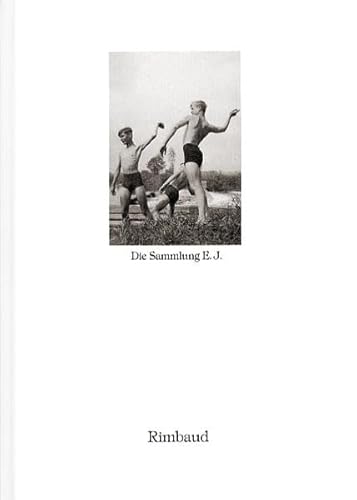 Beispielbild fr Bibliothek des Blicks / Die Sammlung E. J. zum Verkauf von GreatBookPrices