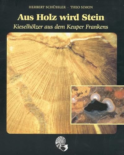 9783890890913: Aus Holz wird Stein: Kieselholzer aus dem Keuper Frankens