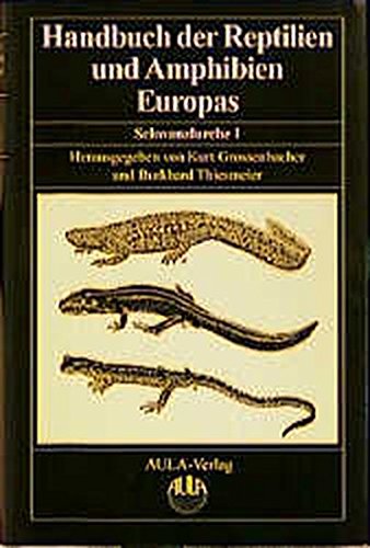 Stock image for Handbuch der Reptilien und Amphibien Europas - Band 4/1 - Schwanzlurche 1 for sale by Wildside Books