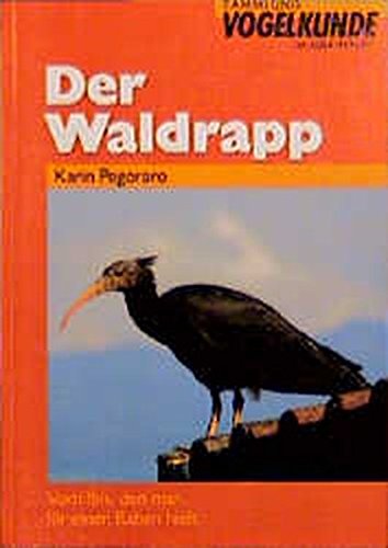 Imagen de archivo de Der Waldrapp a la venta por medimops