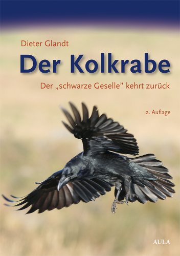 Stock image for Der Kolkrabe: Der "schwarze Geselle" kehrt zurck for sale by medimops