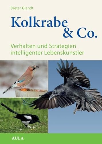 Kolkrabe & Co: Verhalten und Strategien intelligenter Lebenskünstler - Glandt, Dieter