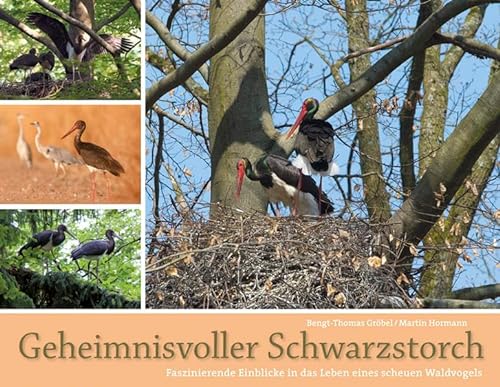 9783891047866: Geheimnisvolle Schwarzstrche: Das beeindruckende Leben eines scheuen Waldvogels