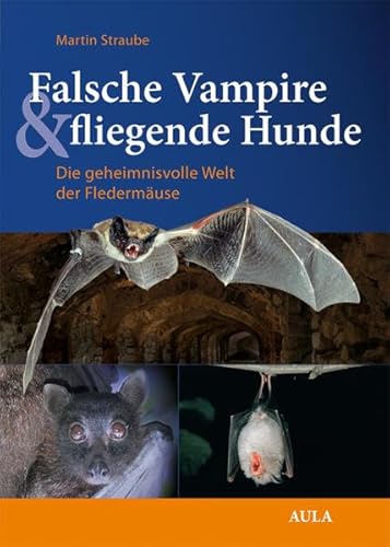 Stock image for Falsche Vampire, fliegende Hunde: Die geheimnisvolle Welt der Fledermuse for sale by medimops