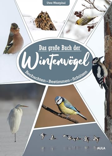 Beispielbild fr Das groe Buch der Wintervgel: Beobachten ? Bestimmen ? Schtzen: Beobachten - Bestimmen - Schtzen zum Verkauf von medimops