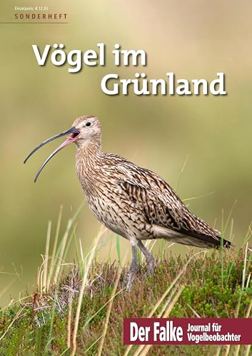 Stock image for Vgel im Grnland for sale by medimops