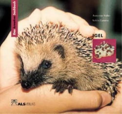 Das kreative Sachbuch Igel. (9783891350805) by Naber, Annerose; Latorre, Sabine