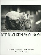 Stock image for Die Katzen von Rom for sale by Buchpark