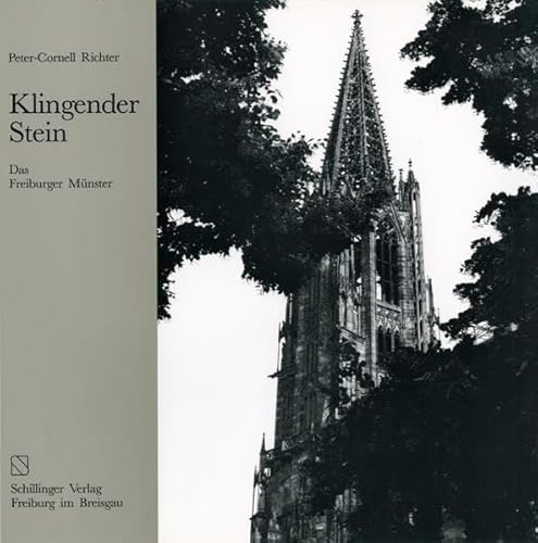 Klingender Stein. Das Freiburger Münster