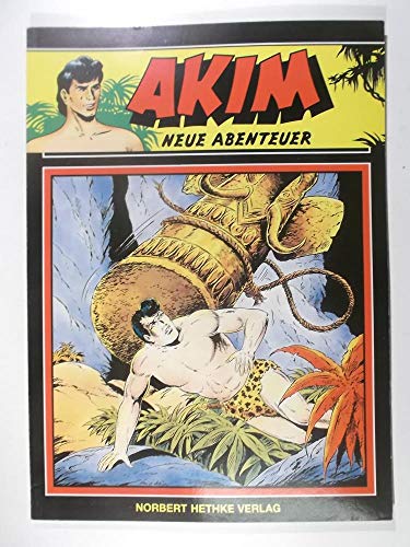 Stock image for Akim Neue Abenteuer, Bd. 27: Keine Rckkehr for sale by medimops