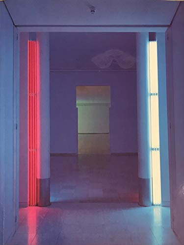 Beispielbild fr Dan Flavin. Installation in fluoreszierendem Licht 1989-1993: Installationen in Fluoreszierendem Lic zum Verkauf von medimops