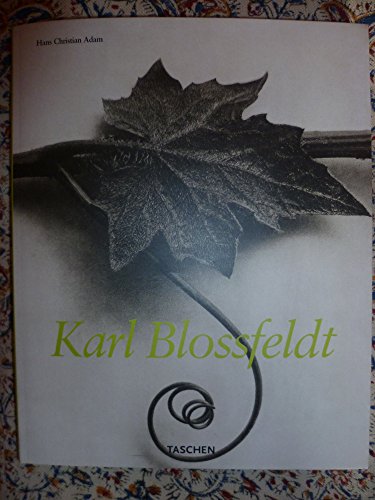 9783893226382: Karl Blossfeldt: Fotografie