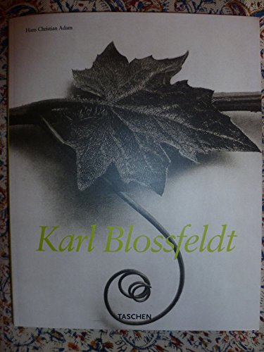 Stock image for Karl Blossfeldt: Fotografie (German Edition) for sale by HPB-Red