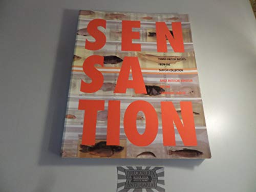 Stock image for Sensation. Young British Artists From the Saatchi Collection (German) for sale by Antiquariat UEBUE