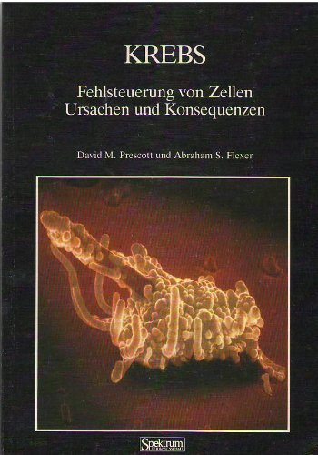 Imagen de archivo de Krebs. Fehlsteuerung von Zellen. Ursachen und Konsequenzen. a la venta por Buchhandlung Gerhard Hcher