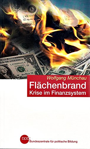 Flächenbrand. Krise im Finanzsystem - Münchau, Wolfgang