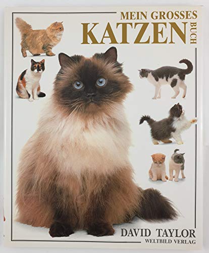 9783893503858: Mein groes Katzenbuch