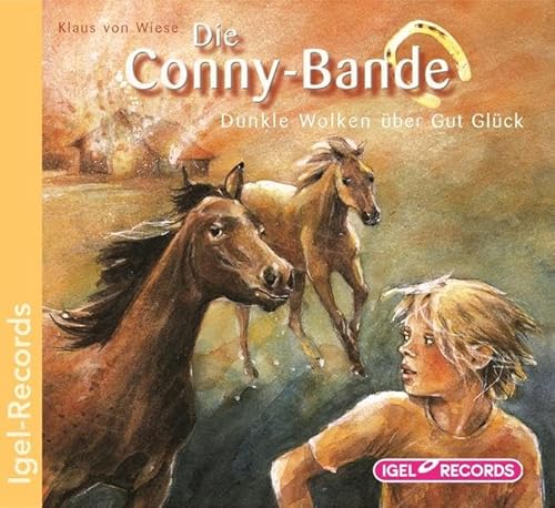 Stock image for Die Conny-Bande. Dunkle Wolken ber Gut Glck for sale by medimops