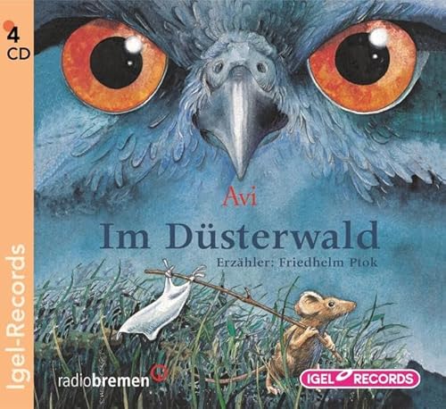 9783893539284: Im Dsterwald