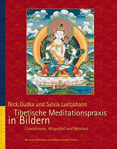 Beispielbild fr Tibetische Meditationspraxis in Bildern: Gewahrsein, Mitgefhl und Weisheit zum Verkauf von medimops