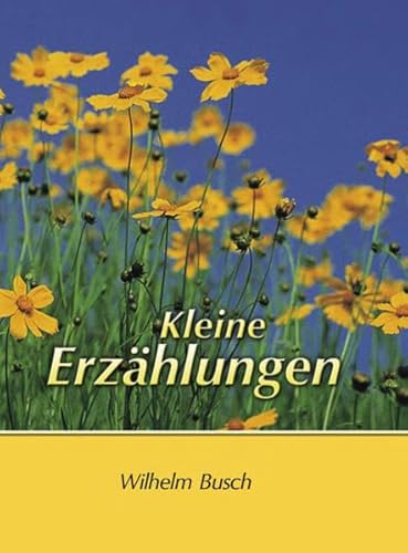 Stock image for Kleine Erzhlungen for sale by medimops