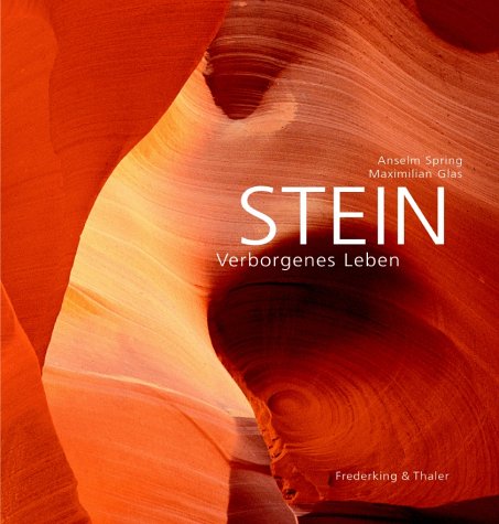 9783894054328: Stein - Verborgenes Leben