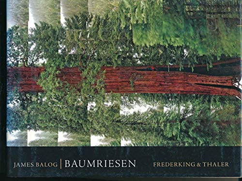 Stock image for Baumriesen for sale by medimops