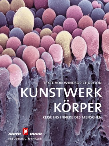 9783894056490: Kunstwerk Krper