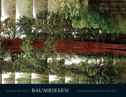 9783894056575: Baumriesen