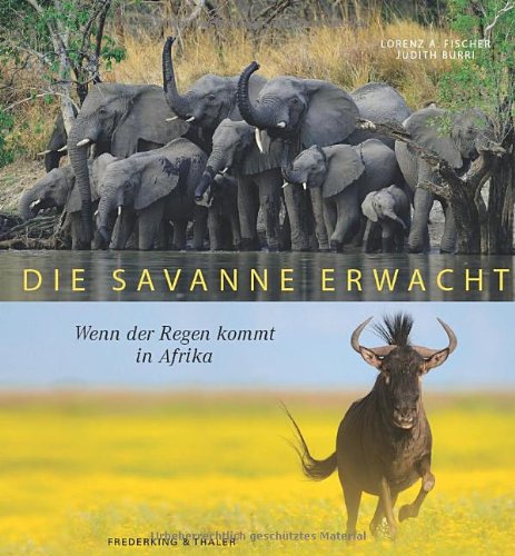 Beispielbild fr Die Savanne erwacht: Wenn der Regen kommt in Afrika zum Verkauf von Gerald Wollermann