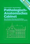 Stock image for Pathologisch-Anatomisches Cabinet - Vom Virchow-Museum zum Berliner Medizinhistorischen Museum in der Charit for sale by PRIMOBUCH