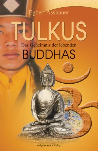 Stock image for Tulkus - Das Geheimnis der lebenden Buddhas for sale by medimops