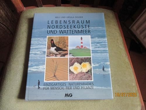 Stock image for Lebensraum Nordseekste und Wattenmeer for sale by medimops